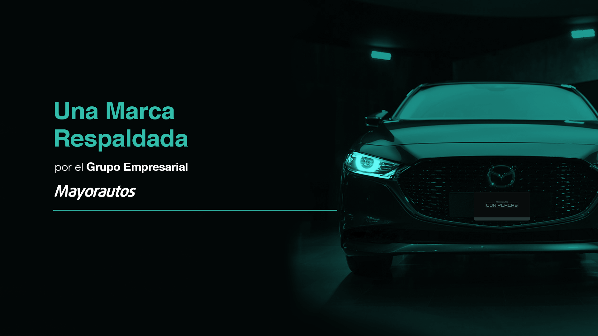 Respaldo del grupo empresarial